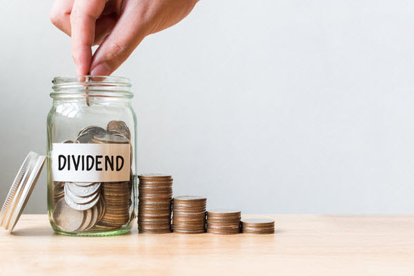 The Importance of Dividends